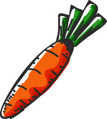 Wall Mural - Vector illustration of orange carrot.