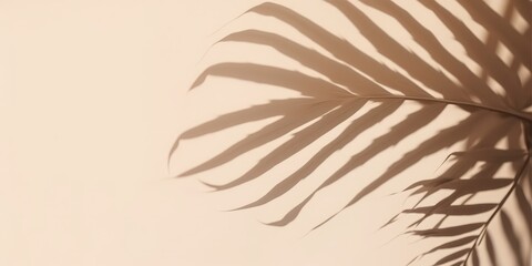 Wall Mural - Palm Leaf Shadow on Beige Background