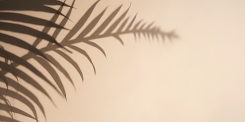 Wall Mural - Shadow of a palm leaf on a beige wall