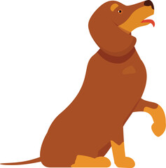 Wall Mural - Brown hunting dog sitting and raising paw, sticking out its tongue