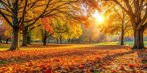 Canvas Print - Peaceful autumn scene in the park with colorful leaves on the ground and trees in the background, autumn, park, fall