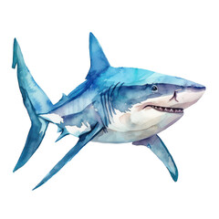 Wall Mural - Shark watercolor illustration isolated on transparent. Sea png file for art work.
