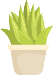 Poster - Simple vector illustration of an aloe vera plant growing in a pot, isolated on a white background