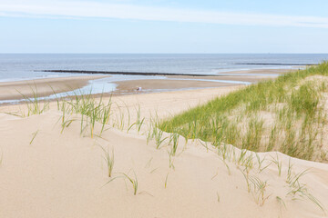 Wall Mural - North Sea beach and dunes at Julianadorp, The Netherlands