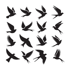  Flying birds silhouettes vector illustration
