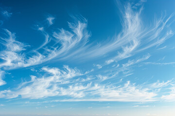 Poster - The sky is blue with fluffy white clouds