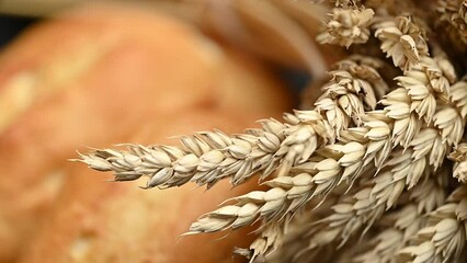 Poster - bread with ears of wheat