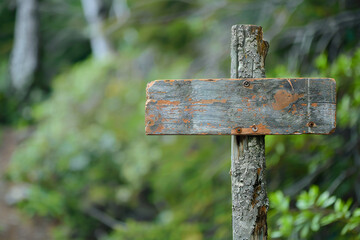 old wooden signpost blank