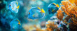 © alexandre - Blue Tang Tropical Fish  Coral Reef, underwater wallpaper background