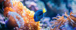 © alexandre - Blue Tang Tropical Fish  Coral Reef, underwater wallpaper background