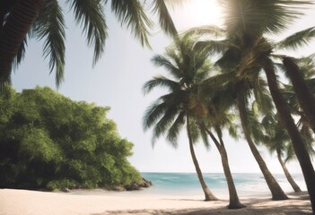 sand tropics ocean sunny travel palm beach leaves paradise landscape sea nature summer tropical water