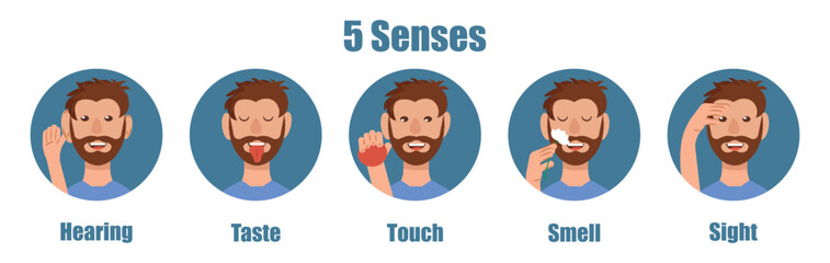 5 senses of human. Hearing, taste, touch, smell and sight of man in cartoon style