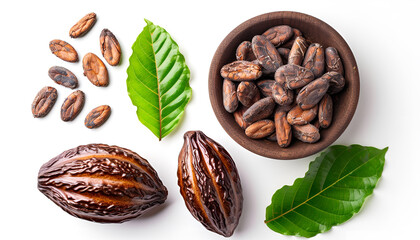 Wall Mural - unpeeled cocoa bean isolated on white background close-up top view