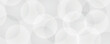 © kasheev - White and grey abstract modern transparency circle presentation background. Vector circles template. gradient vanishing circles. Creative illustration for poster, web, landing, page, cover