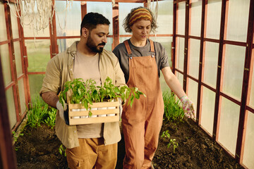 Aufkleber - Mature female gardener in overalls, t-shirt and headband talking to bearded man carrying wooden box with potted green seedlings
