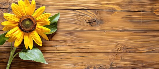 Poster - Copy space image of a sunflower against a wooden board backdrop.