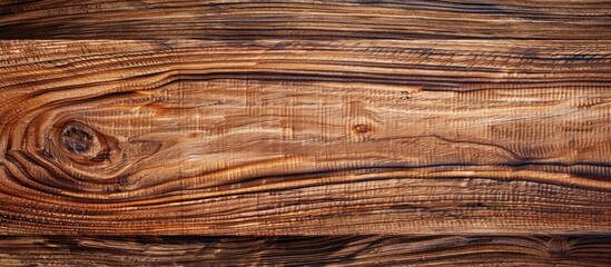 Poster - Detailed texture of natural wood in high resolution, ideal for use as a copy space image.