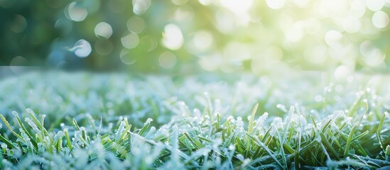 Wall Mural - Close-up of icy crystals forming on lush green grass with a natural bokeh background, ideal for wide format banners with copy space image.