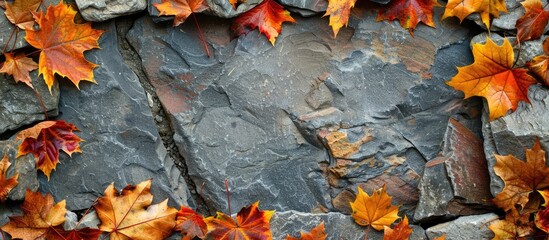 Poster - Autumn leaves framing a stone background with a copy space image in the center.