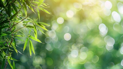 Wall Mural - Sunlit Bamboo Leaves with Bokeh Background