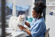 © Seventyfour - Side view of young female African American veterinarian in blue uniform conducting routine examination of dog listening to heart with stethoscope on table in modern vet clinic, copy space