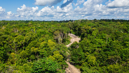 Wall Mural - roads in the middle of the Amazon jungle, deforestation and sand extraction for construction is one of the main activities where large hectares of forest are deforested