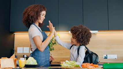 Poster - Mom, child and happy high five in kitchen for development, learning recipe and cooking success in home. Mama, young boy and celebrate with palm connection, support and motivation for food preparation