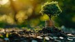 © ปฏิภาน ผดุงรัตน์ - The tree grows on stacked coins on the soil with blur