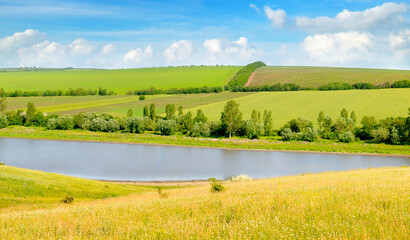 Wall Mural - Agricultural fields, meadows, lake and sky. Wide photo.