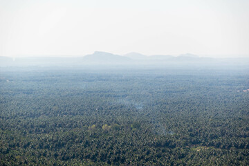 Wall Mural - Aerial view of a scenic landscape of tropical palm trees and hills around Shravanabelagola.