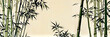 © Nadine Siegert - bamboo forest background