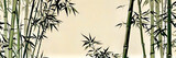 bamboo forest background