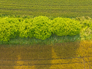 Canvas Print - Aerial view of farmland patchwork. Fields with different colors in countryside. Background showing rural area.