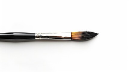 Close up of paintbrush on white background with shadow and space above