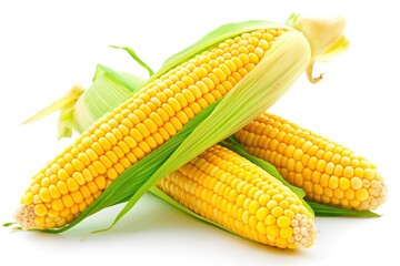 Poster - Fresh corn ears with leaves set isolated on white background