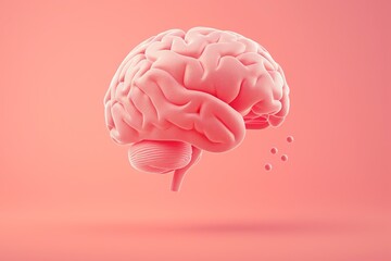 Human brain on a pink background.