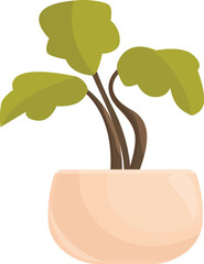 Wall Mural - Small green plant growing in a beige pot, representing home decoration and care