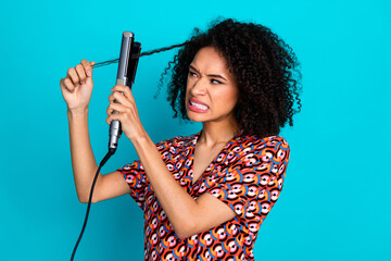 Wall Mural - Photo of furious angry lady wear print shirt hating her curly hairstyle isolated blue color background