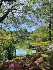 brooklyn botanic garden