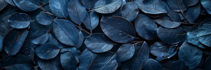 Abstract black leaf textures  dark nature concept with tropical foliage in flat lay composition