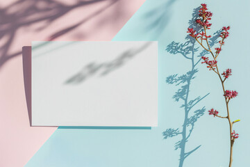 Poster - Aesthetic and minimalist blank card on a split pink and light blue background, ideal for personalized messages