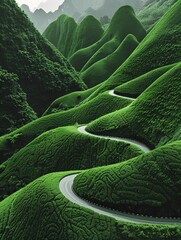 Wall Mural - aerial view of winding roads through with green mountain. travel background concept