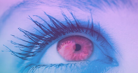 Aufkleber - Image of caucasian female eye with business data processing on digital interface in foreground