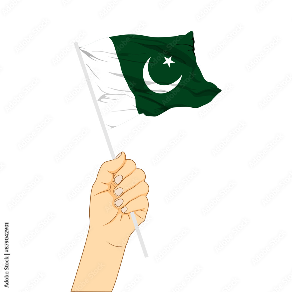 Vector illustration of Pakistan flag in hand on transparent background ...