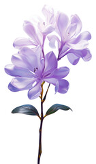 Sticker - PNG A lilac flower isolated on clear solid background blossom plant inflorescence.