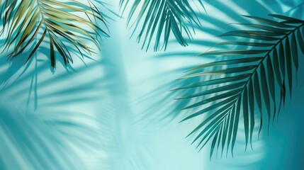 Canvas Print - Abstract palm leaf shadows on light blue backdrop for advertising with creative space