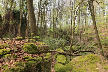 Poster - Blick auf das Felsenmeer in Hemer im Sauerland	