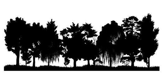 Wall Mural - garden trees. image of black silhouette isolated on white background. vector forest landscape. view 