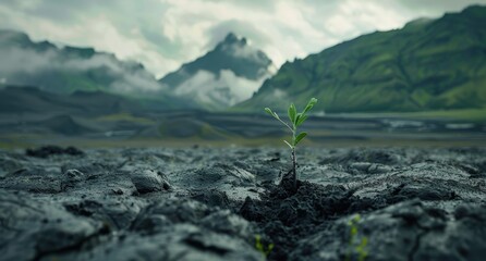 Poster - Resilient growth in a rugged landscape