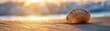 © Media Srock - A close up of a seashell on the sand